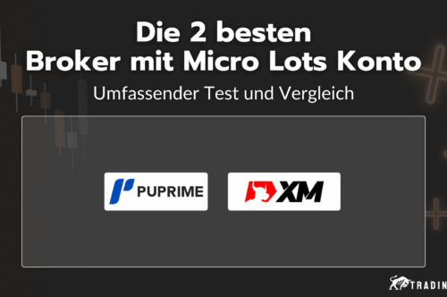 Die 2 besten Broker mit Mirco Lots Konten