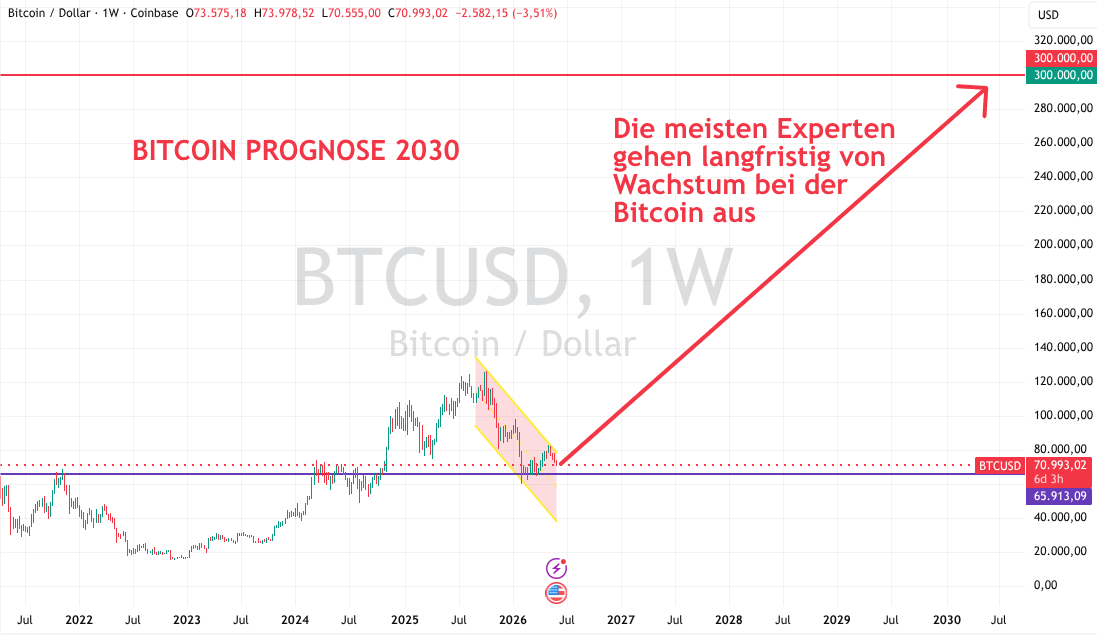 Bitcoin USD 2030