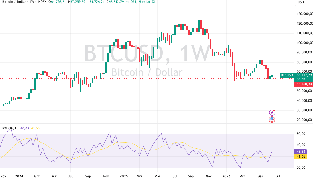 Bitcoin Schwankungen auf den Charts