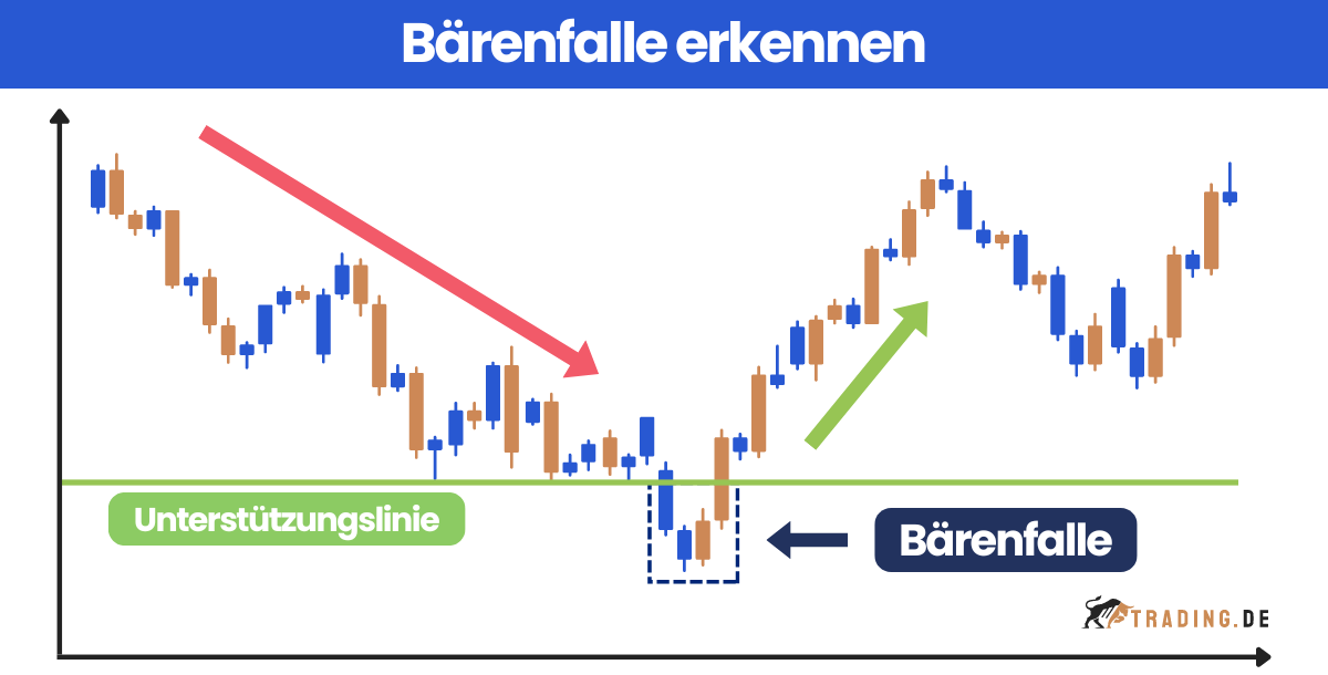 Bärenfalle an der Börse erkennen