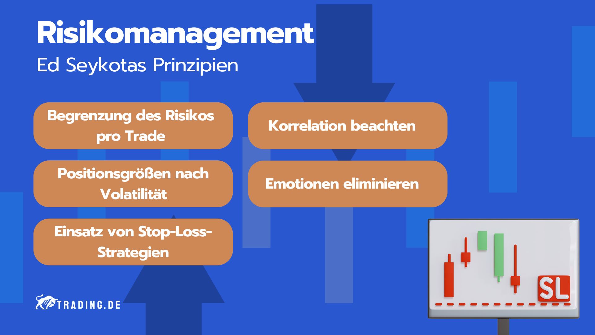 Risikomanagement von Ed Seykota