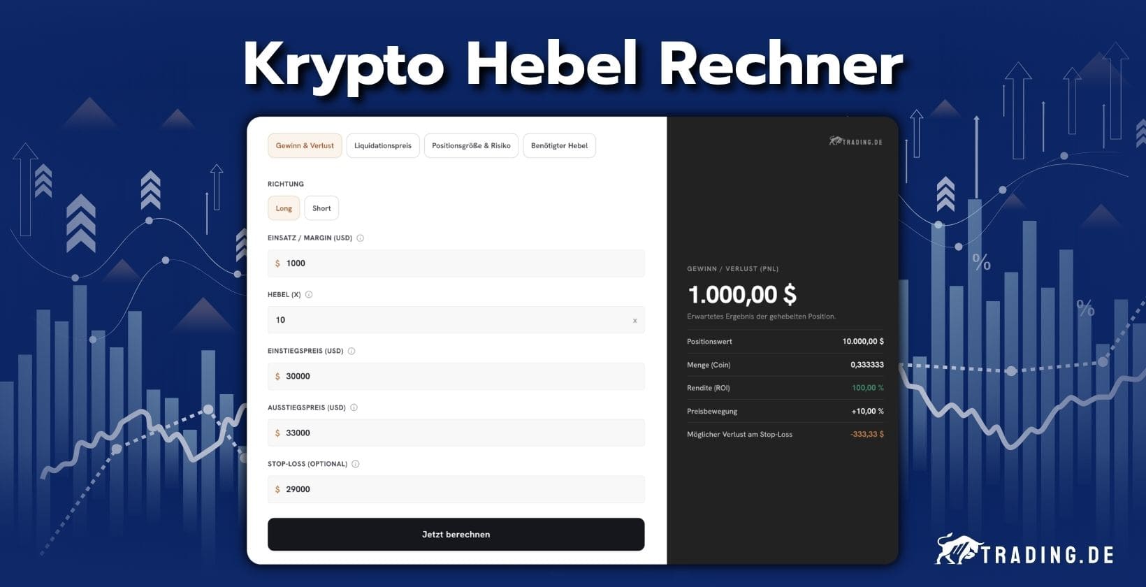 Krypto Hebel Rechner