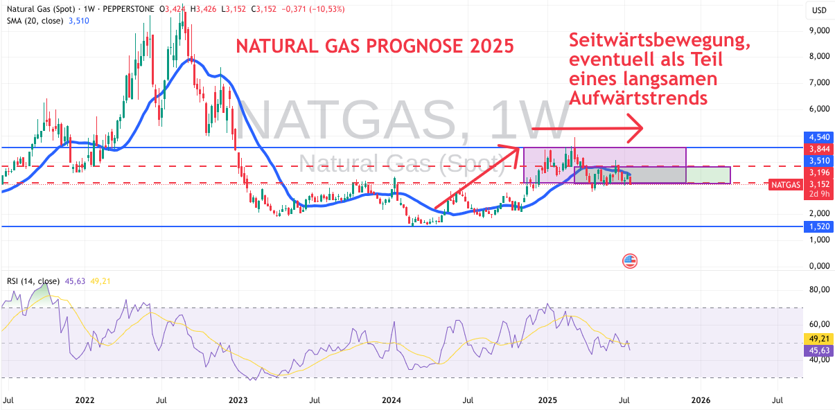 Prognose Natural Gas 2025