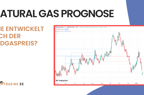 NATURAL GAS PROGNOSE