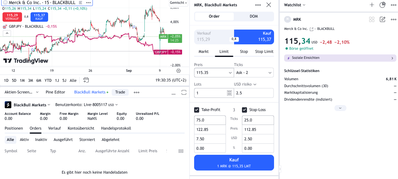 Order-Maske im TradingView-Software-Dashboard von BlackBull Markets