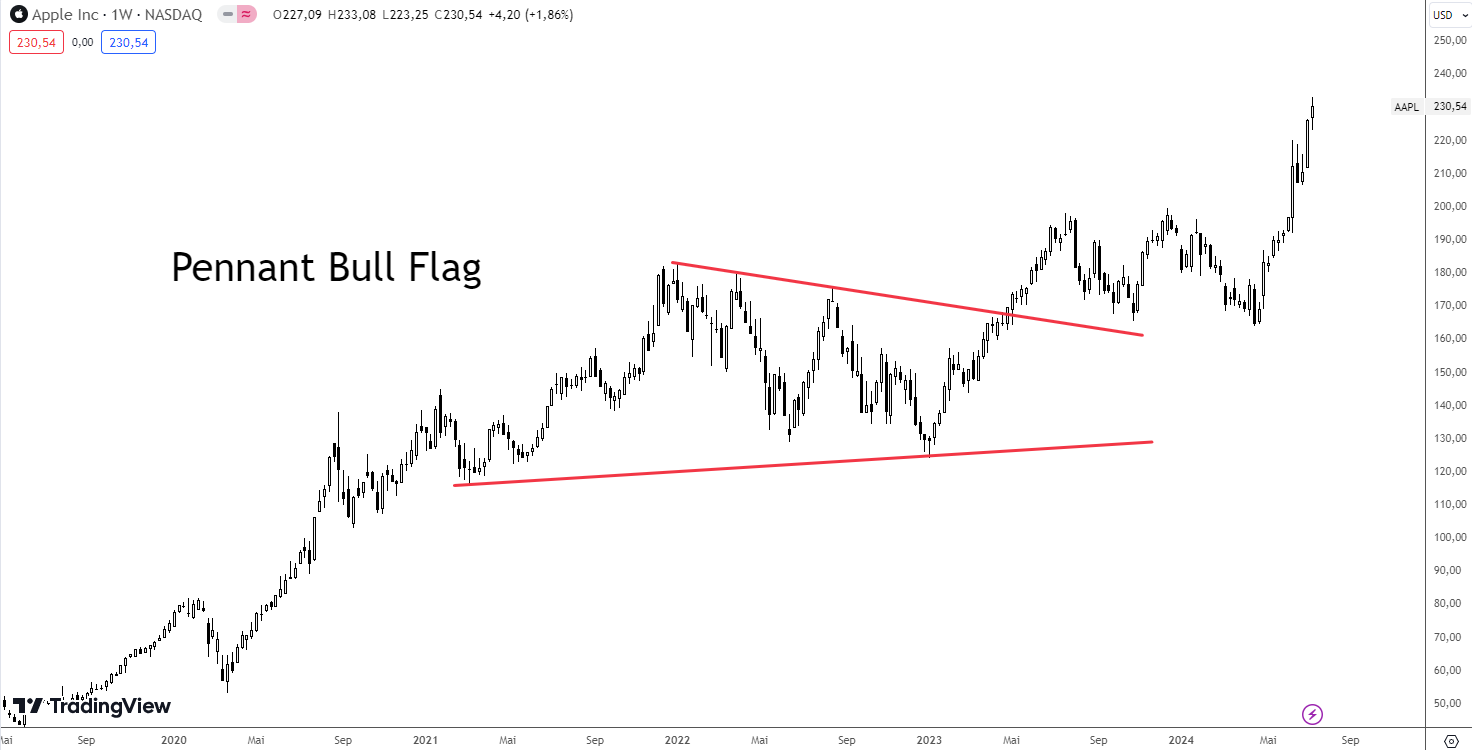 Pennant Bull Flag