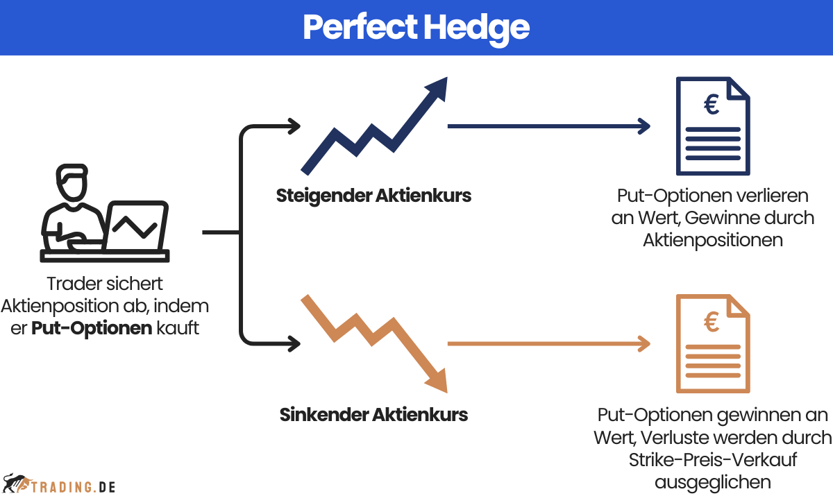 Perfect Hedge Grafik