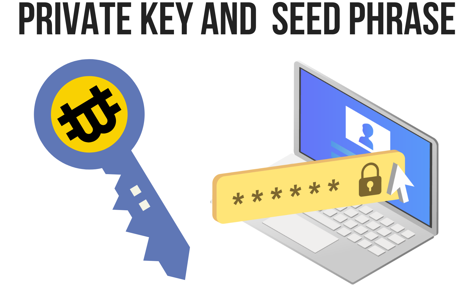 Private Key & Seed Phrase