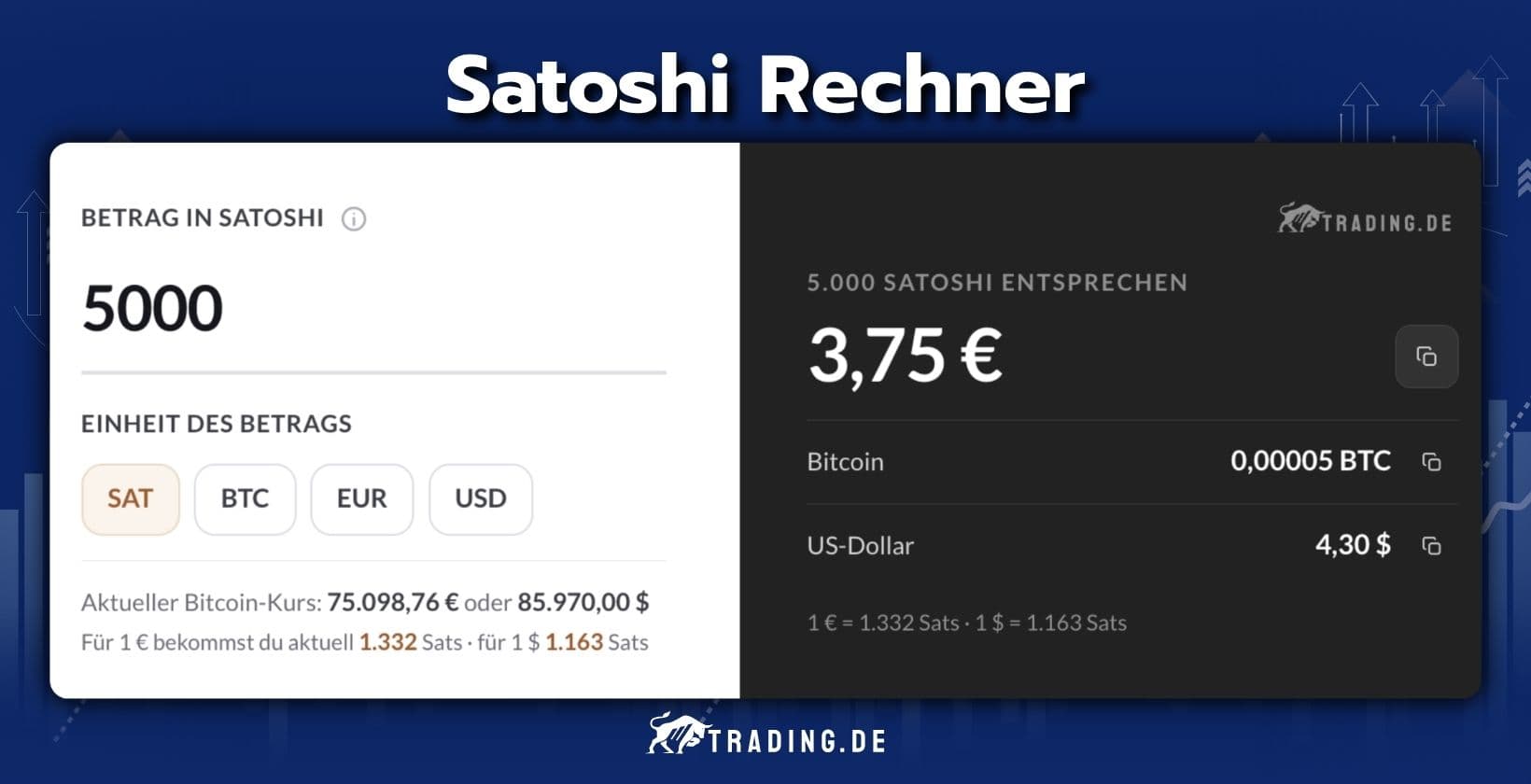 Satoshi Rechner