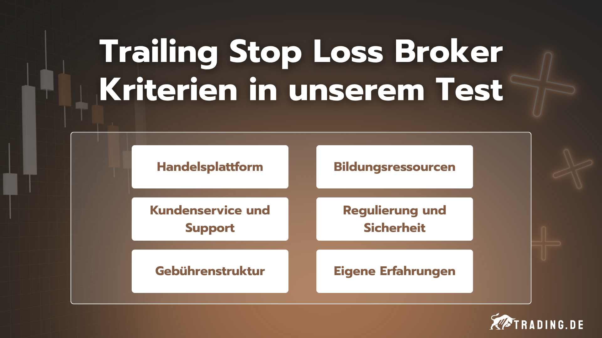 Trailing Stop Loss Broker Kriterien in unserem Test im Überblick