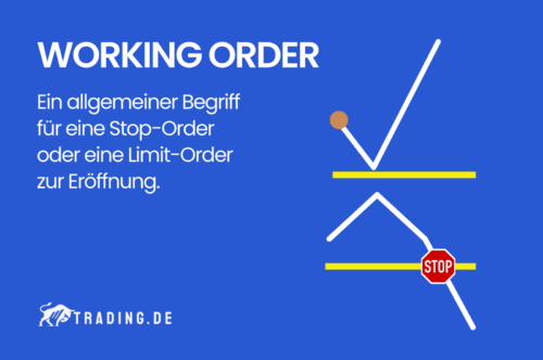 Working Order Definition & Erklärung