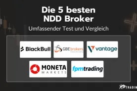 Die 5 besten NDD Broker im Vergleich