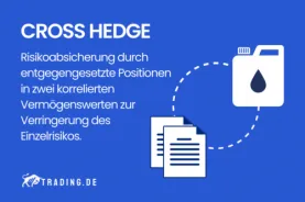 Cross Hedge Definition und Erklärung