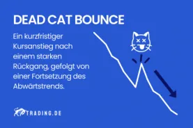 Dead Cat Bounce Definition und Erklärung