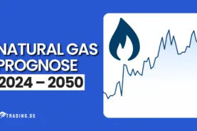Natural Gas Prognose 2024 bis 2050