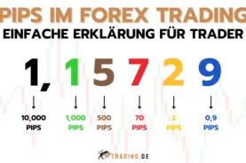 Pips im Forex Trading (1)