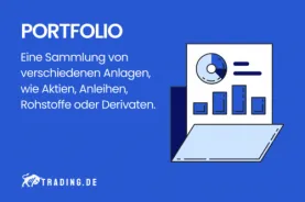 Portfolio Definition und Erklärung