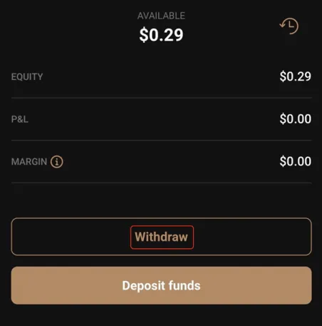 Capital.com-Auszahlung