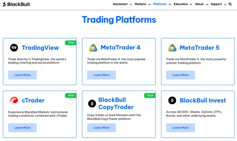 Überblick Handelsplattformen bei BlackBull Markets