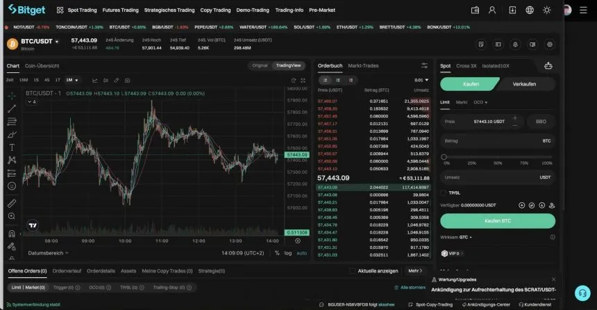 Bitget Handelsplattform Übersicht