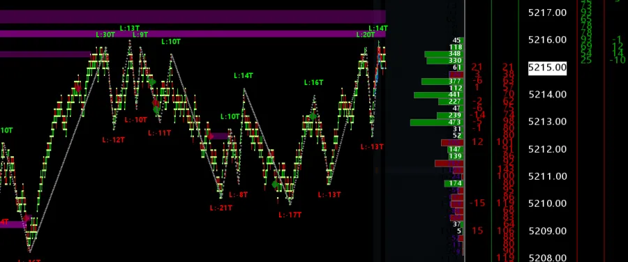 Micro Trading mit Heatmap im Tick Chart