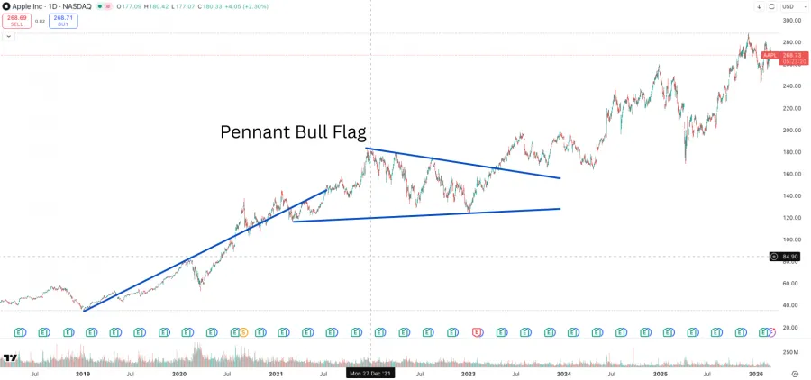 Pennant Bull Flag