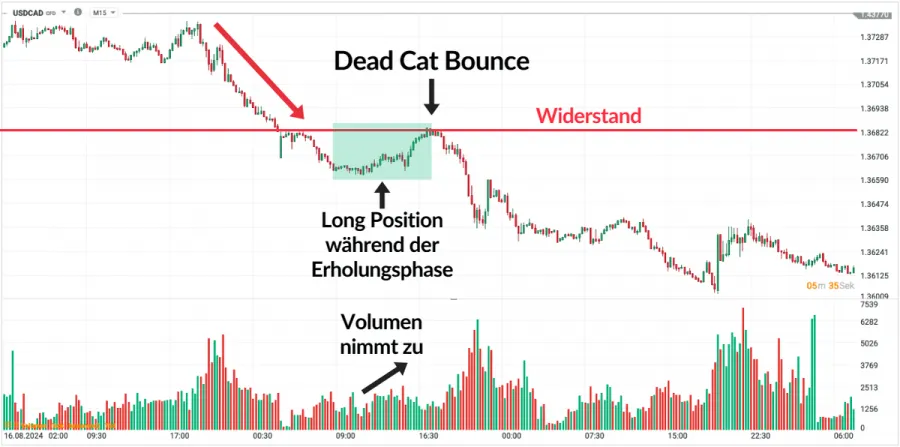 Dead Cat Bounce Aggressive Trading Strategie