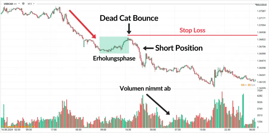 Dead Cat Bounce Trading Strategie