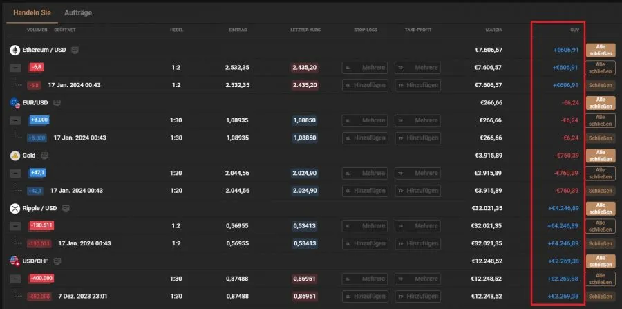 Trading-Performance GUV