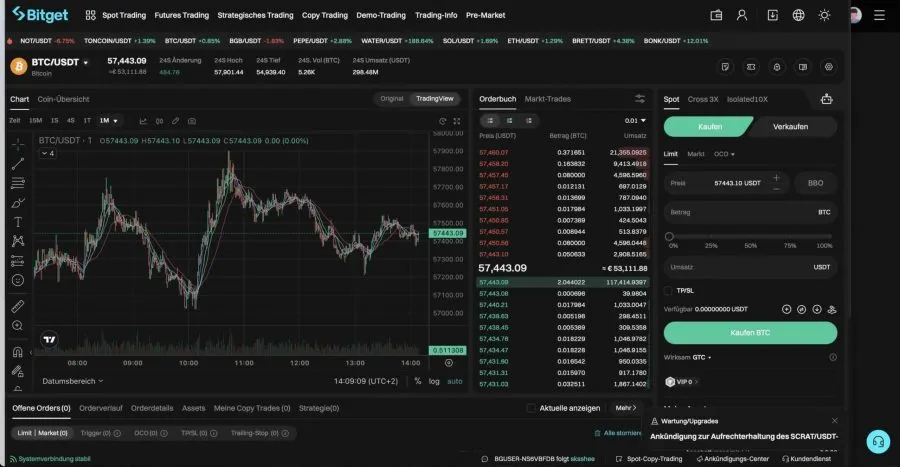 Bitget Krypto Hebel Trading Plattform