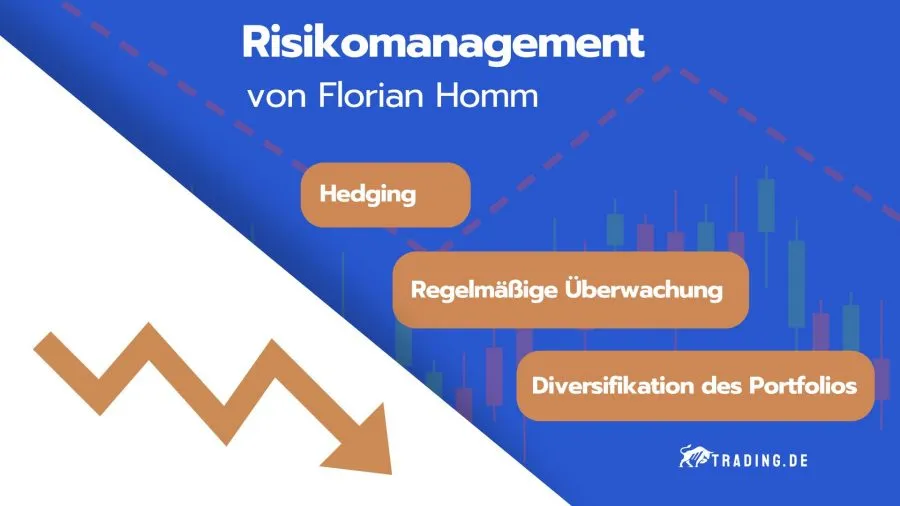 Risikomanagement-Prinzipien von Florian Homm
