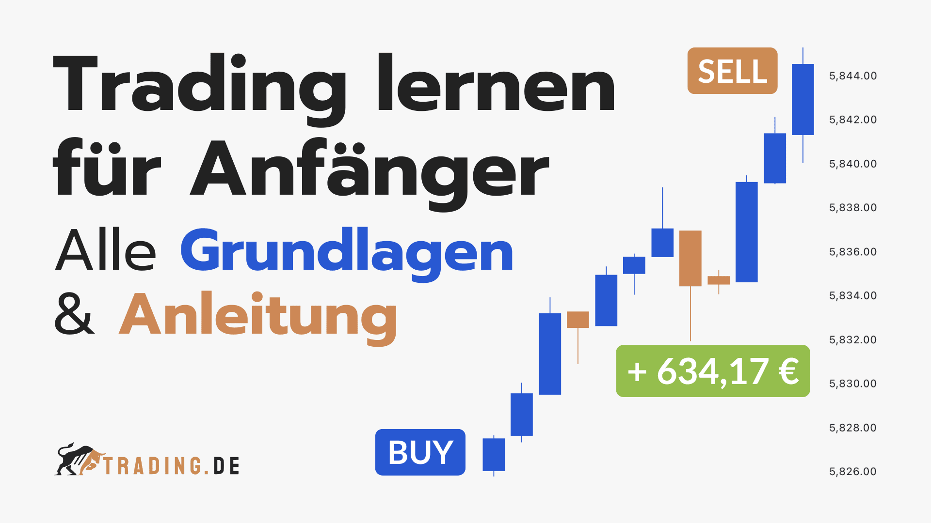 Trading lernen für Anfänger: Alle Grundlagen und Anleitung